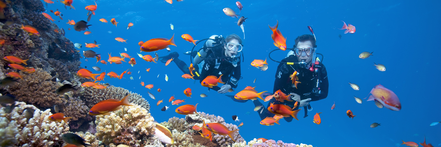 scuba diver training become a scuba diver&copy